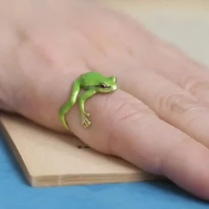 TREE FROG JEWELRY Rings SET